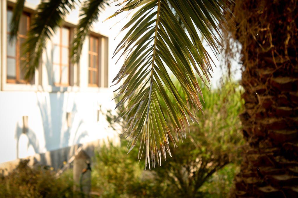 Cabeca Da Cabra Casa De Campo Порту-Кову Экстерьер фото